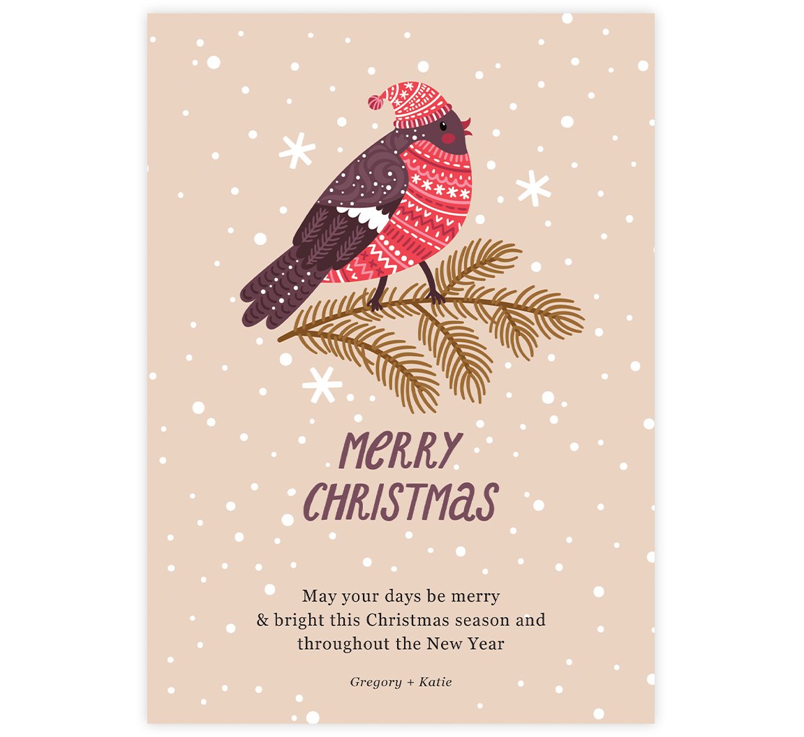 Christmas Bird Holiday Card; Light cream background with white snowflakes and bird illustration